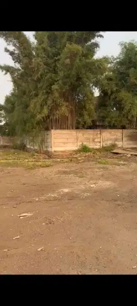 Tanah Industri Akses Container di Jalan Eternal Cikupa Tangerang