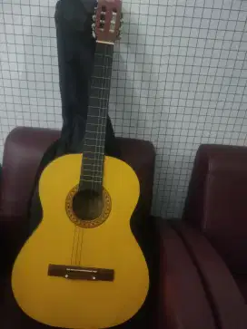 Gitar bekas + sarung