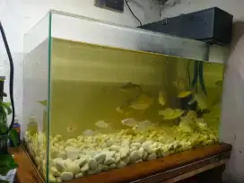 1 Seta aquarium tinggal colok aja Net 200
