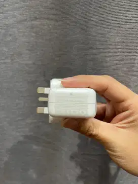 Charger Ipad Mini 5 Apple Original