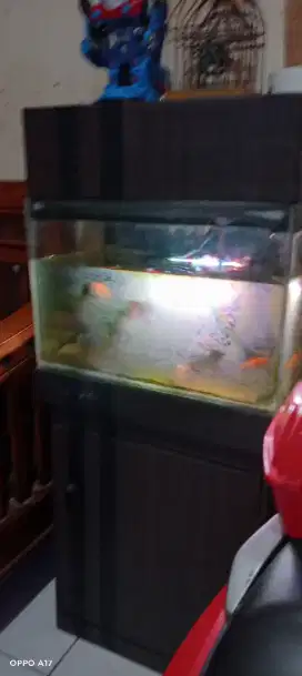Aquarium fullset
