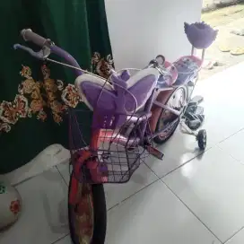 Sepeda anak 4-6 tahun