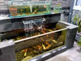 Jasa pembuatan kolam ikan koi dan taman