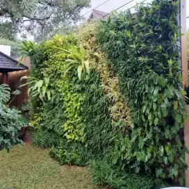 Pembuatan vertikal garden dan kolam taman