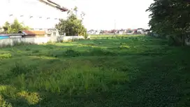 MURAH, SOEKARNO HATTA, TANAH SAWAH LUAS DI PINGGIR JALAN KOTA BANDUNG
