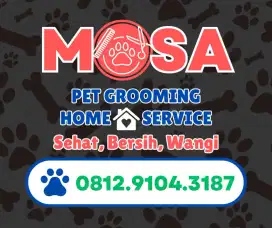 Salon Hewan ( kucing dan anjing)