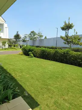 Dijual Rumah Kinclong Hoek Di Cluster Amanda Summarecon