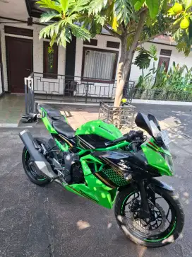 Ninja RR Mono 2019