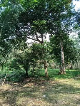 Dijual tanah siap bangun