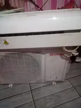 Ac sharp 1/2 pk