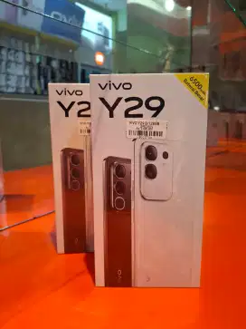 VIVO Y29 8/128.