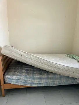Kasur bigland springbed big land 120 x 200