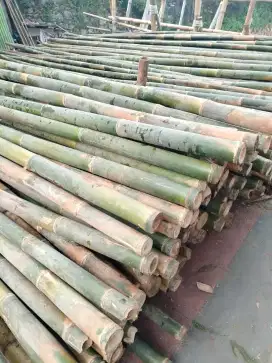 Jual bambu tiang bendera,cor,stger kayu papan kaso2 ,dll diantar