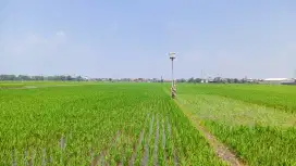 DIJUAL TANAH LUAS & STRATEGIS DI LINGKAR KUDUS DEMAK,DEKAT DJARUM