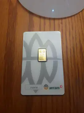 ANTAM 2 GR 2025