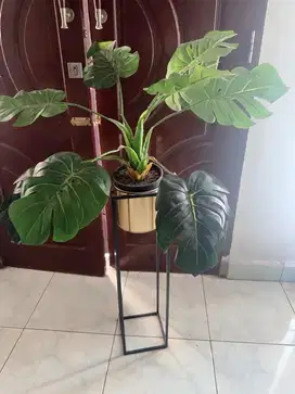 Dijual set bunga daun monstera produk informa