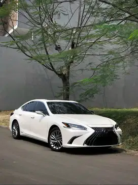 Lexus ES300H Low KM