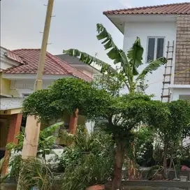 Murah, Rumah di Sentul Selatan