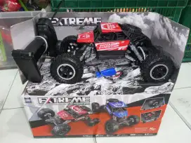 Mainan Anak Rc Extreme Cas