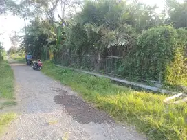 Tanah murah bagus cocok untuk kavlingan