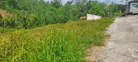 LAHAN KAVLING HARGA BERSAING