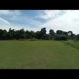 Dijual Cepat Tanah Pinggir Jalan Raya Gunung Sindur Parung, Bogor