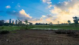 Tanah Murah Palagan, Utara Masjid Suciati, Strategis