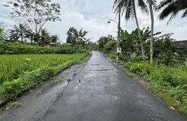 Tanah Murah Sleman, Strtegis Jalan Palagan, Area Villa