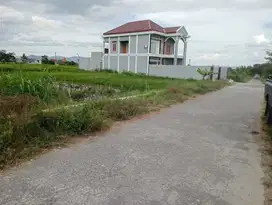 dijual tanah SHM sawah di utara ringin Purwo