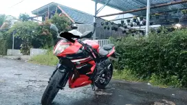 Kawasaki Ninja RR mono