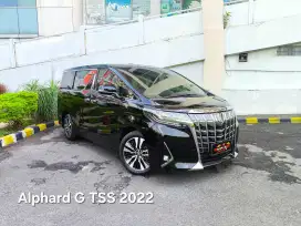 (KM18Rb) ALPHARD G TSS ANTIK