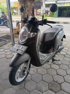 Scoopy staylis 2018