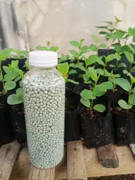 Pupuk npk grower