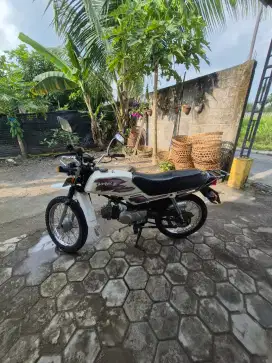 Djual hojda WIN