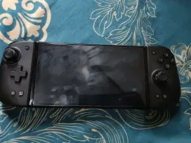 Nintendo switch oled 2024 ofw tablet only