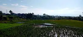 Jual Investasi Menarik Tanah Luas Strategis di Jl Semarang Garut