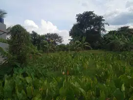 Promo Tanah Kavling Cluster Termurah  Di Bogor Ciomas - Bisa Di Cicil
