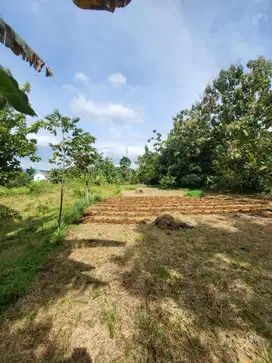 Jual tanah di Rancamaya kota Bogor Jawa Barat
