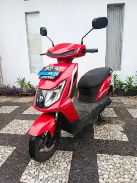 United MX 1200 2024