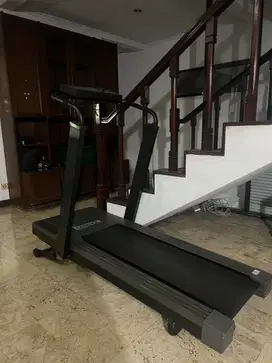 TREADMILL CANDENCE