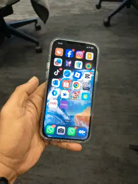 Iphone 12 Pro Max memory 512GB LL/A