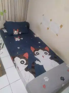 Jual cepat kasur single inthebox bonus (bantal,guling)