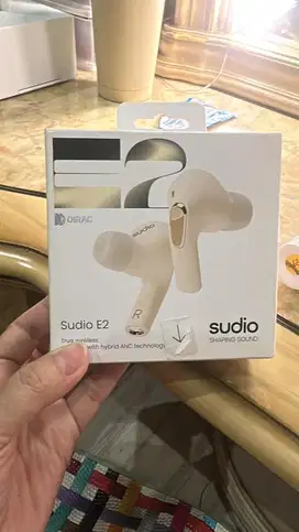 Earbuds SUDIO E2