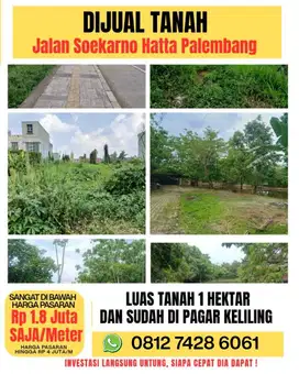 DIJUAL CEPAT BUTUH UANG TANAH SELUAS 1 HEKTAR DI JALAN SOEKARNO HATTA