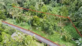 Di jual tanah langka dengan aliran sungai kecil jernih berbatu