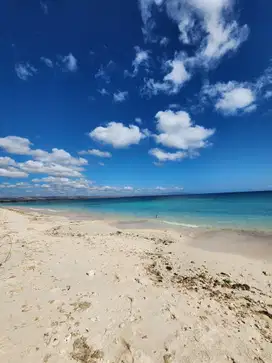 TANAH LOS PANTAI NIHIWATU SUMBA TIMUR GLOBAL 1.8 MILYAR