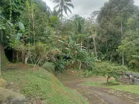 DIJUAL TANAH BERISI AIR TERJUN MURAH POTENSI VILA KOMERSIL