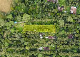 (Dnl) tanah untuk villa di payangan ubud