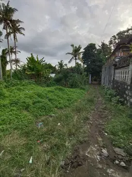 Tanah Batuan Ubud Cocok untuk Rumah tinggal atau Gudang