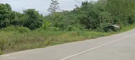 Bismillah Tanah 3 ha IKN Murah Jalan besar SHM, 30 Menit ke Istana
